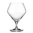 Set 6 Pahare Bere Bohemia Gavia 600 ml
