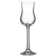 Set 6 Pahare Shot Bohemia Colibri Gastro 85 ml