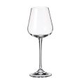 Set 6 Pahare Vin Bohemia Ardea Amundsen 260 ml