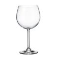 Set 6 Pahare Vin Bohemia Colibri Gastro 570 ml