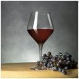 Pahare vin Rosu Bohemia colectia Gavia
