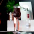 Set 6 Pahare Shot Bohemia Colibri Gastro 85 ml