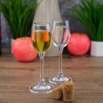 Set 6 Pahare Shot Bohemia Sylvia Klara 65 ml