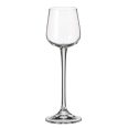 Set 6 Pahare Shot Bohemia Ardea Amundsen 60 ml