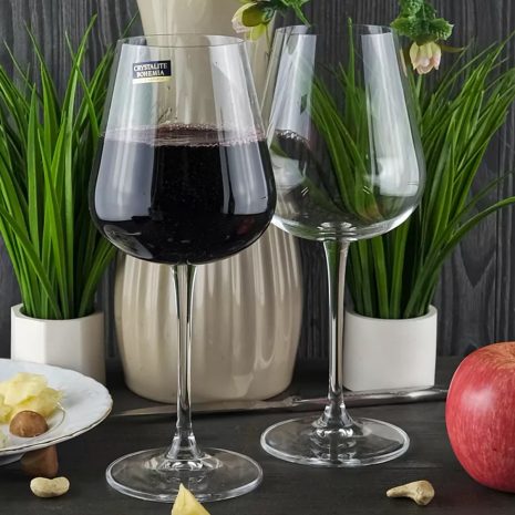 Set 6 Pahare Vin Bohemia Ardea Amundsen 450 ml