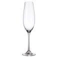 Set 6 Pahare Sampanie Bohemia Columba 260 ml