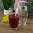 Set 6 Pahare Apa Bohemia Carduelis 470 ml