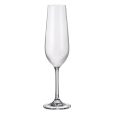 Set 6 Pahare Sampanie Bohemia Tyto 200 ml