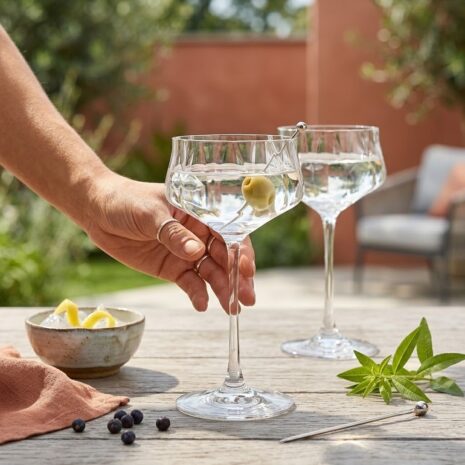 Set 6 Pahare Martini de la Bohemia Cettia Optic 300 ml Set 6 Pahare Martini de la Bohemia Cettia Optic 300 ml