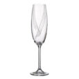 Set 6 Pahare Sampanie Bohemia Colibri Optic 220 ml