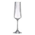 Set 6 Pahare pentru Sampanie Bohemia Corvus Optic 160 ml