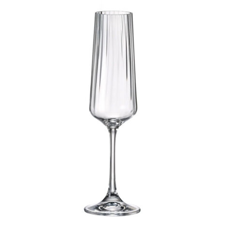 Set 6 Pahare pentru Sampanie Bohemia Corvus Optic 160 ml Set 6 Pahare pentru Sampanie Bohemia Corvus Optic 160 ml