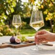 Set 6 Pahare de Vin Alb Bohemia Cettia Optic 370 ml