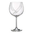 Set 6 Pahare de Vin Rosu Bohemia Colibri Optic 570 ml