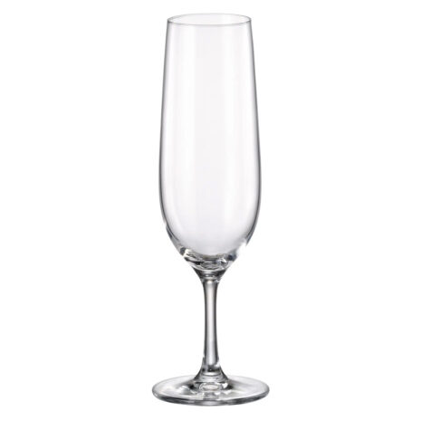 Set 6 Pahare de Sampanie Bohemia Athene 270 ml Set 6 Pahare de Sampanie Bohemia Athene 270 ml